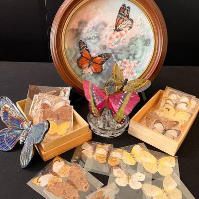 As252 butterfly lover