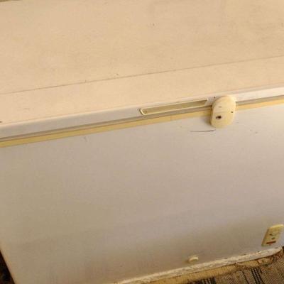 Garage freezer