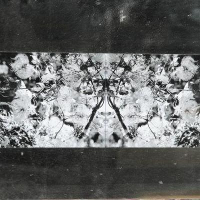 MCM Photograph on mirror
