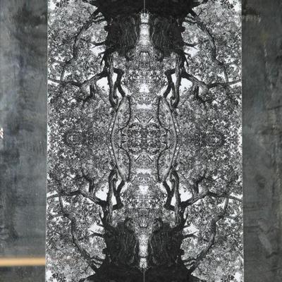 MCM Photograph on mirror