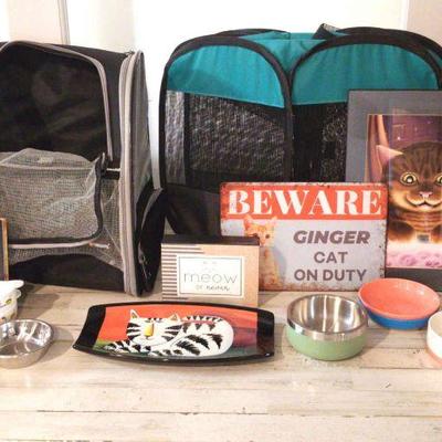 Cat carriers and decor