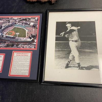 FENWAY/TED WILLIAMS