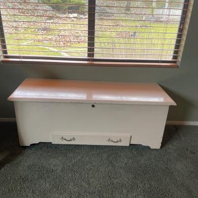 Cedar trunk 