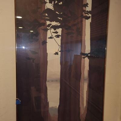 Muir Woods Print