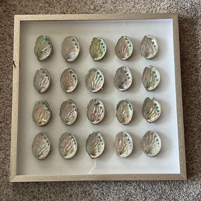 113 Framed Oyster Shell Wall Art & One More