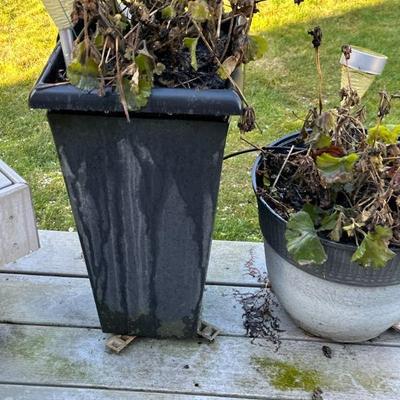 Outdoor pots
