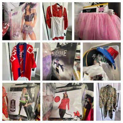 Lot 022-BR1: Cool Coterie of Costumes