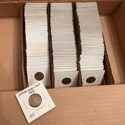 Graded Indian Head Pennies