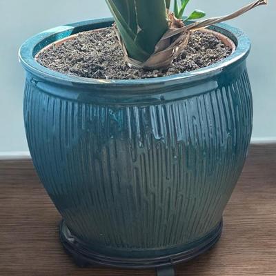 Indochine planter (plants sold separate)