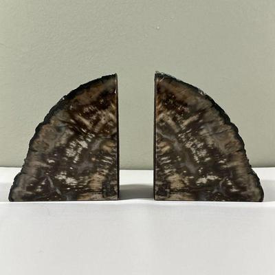 (2pc) Arizona Petrified Wood Bookends | Pair of organic material bookends with plaque detailing their origin as "Arizona Petrified...