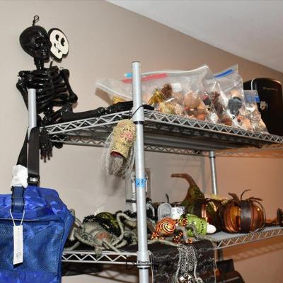 610 basement