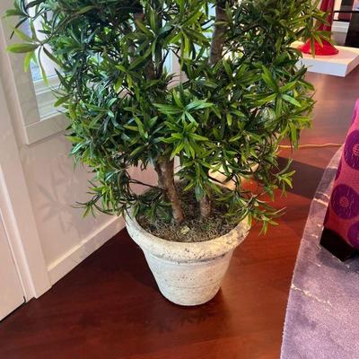 Planter