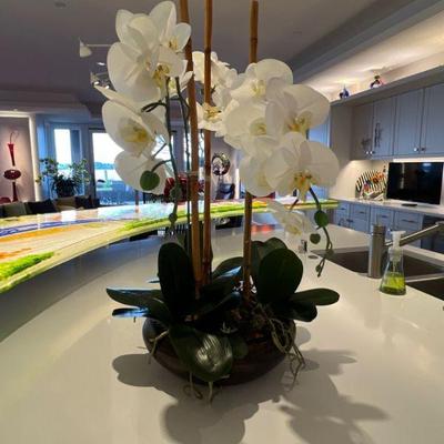 Orchids