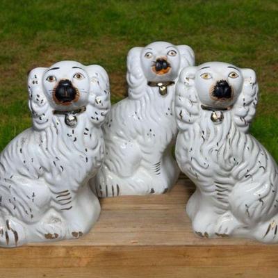 Staffordshire dogs cavalier king charles