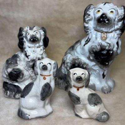 Straffordshire spaniels