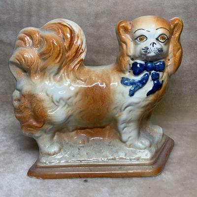 Staffordshire pekingese dog