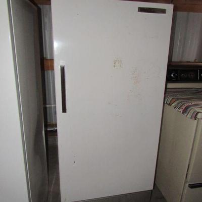 GE Fridge