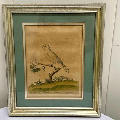 (1pc) Artwork - Canary | Artist rendering of a canary Numbered: 65. Signed by artist - h. 14 x w. 10.5 in