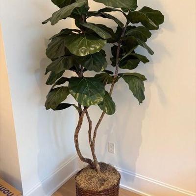 Faux Indoor Tree | Large faux rubber tree plant.


