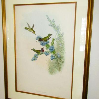 Sale Photo Thumbnail #50: Antique John Gould print