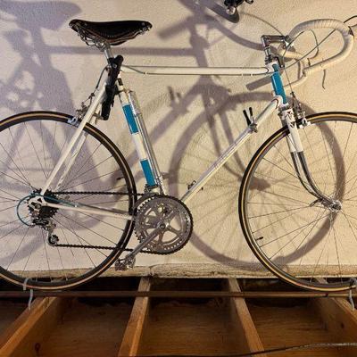 Raleigh Bike