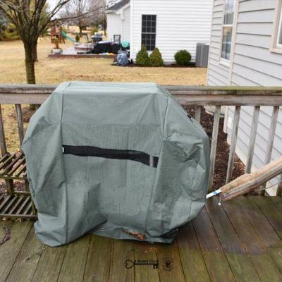 1023 back yard