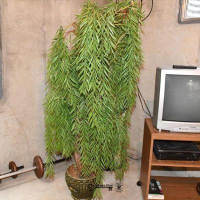 0803 basement