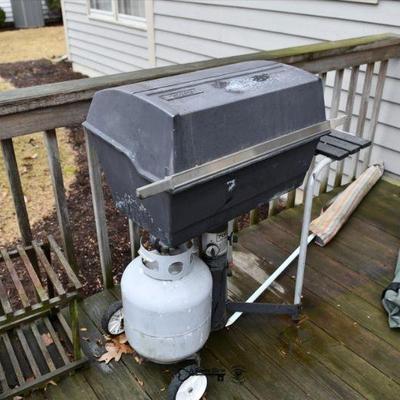 1028 back yard