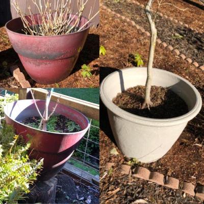 123 threelargeoutdoorplasticplanters
