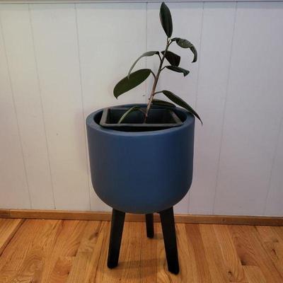 169 liveplantinheavyceramicpottripod