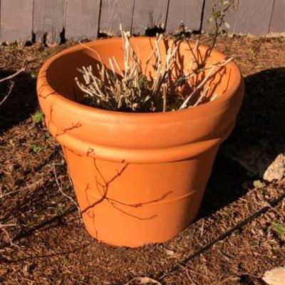 129 largeunglazedterracottapot