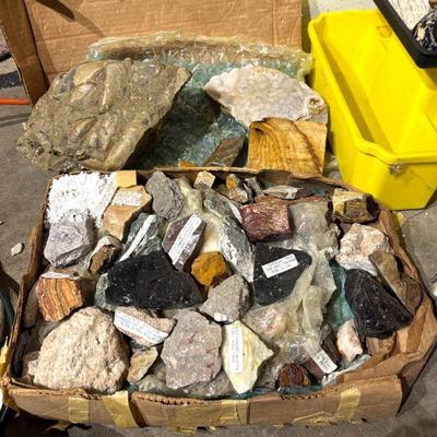 Collectible rocks fossils