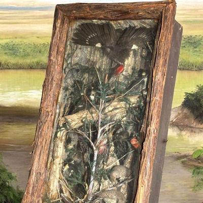Antique taxidermy diorama