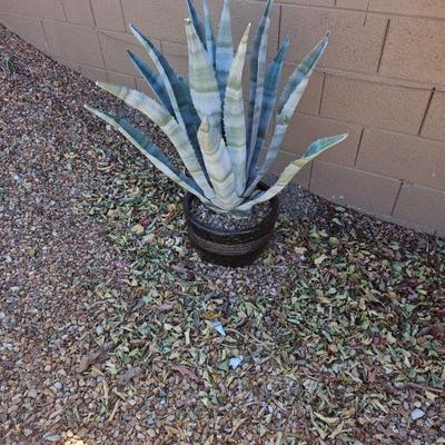 Pottery With Plant