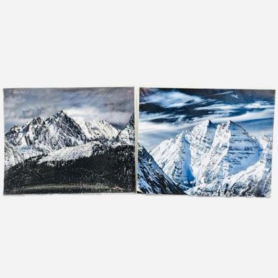 Lot #74 - Lot of Two 16 x 20 Enlarged Wildlife / Nature Photos in Protective Sleeves "Midnight Aspen Bells"