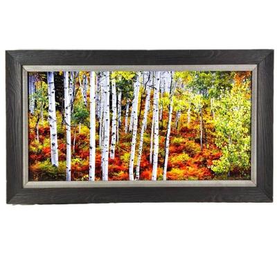 Lot #11 -Aspen Wood: Summer to Fall Panoramic Art Photography- Acrylic Mounted Print- with Wood Frame & Fabric Matt 46.5" x...