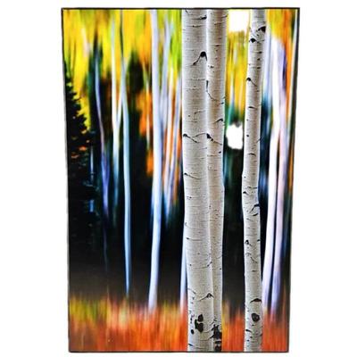 Lot #20 - Randy Koepsell "Standing Out in a Crowd" Aspen Trees -Art Photography on Gallery Plaque 20 x 30