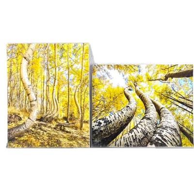 Lot #70 - Lot of Two 16 x 20 Enlarged Wildlife / Nature Photos in Protective Sleeve "Snow Load Aspens"