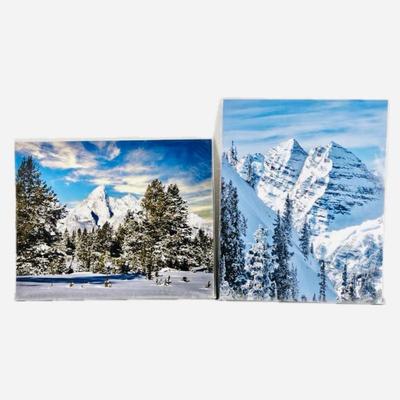 Lot #74 - Lot of Two 16 x 20 Enlarged Wildlife / Nature Photos in Protective Sleeves "Midnight Aspen Bells"