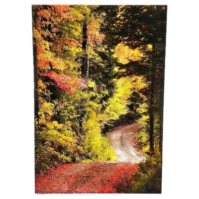 Lot #25 - New England Art Photography "Smugglers Path" Vermont - Vertical Acrylic Mounted Print- 23.5" x 34