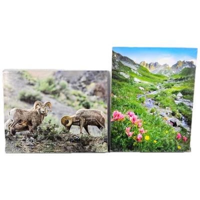 Lot #59 - "American Paintbrush: Colorado" Wildlife and Landscape Prints - Big Horn Rams & Summer Stream.