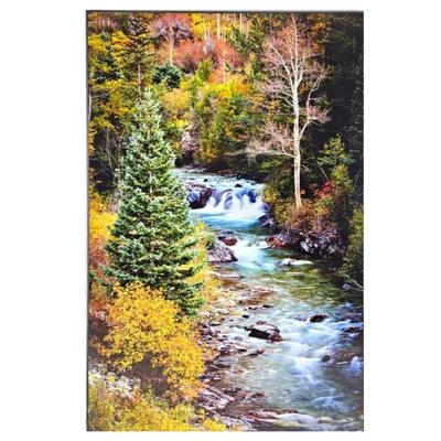 Lot #4 - Gallery Float Fine Art Photography - "The Stellar Tree" Crystal River, Colorado -24" x 36" R. Koepsell
