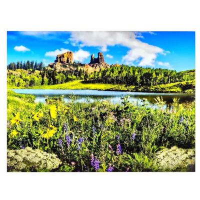 Lot #14 -Fine Landscape Art Photography -Spring in Rabbit Ears Mountain, CO - Acrylic Mounted Print- 36" x 48" Signed