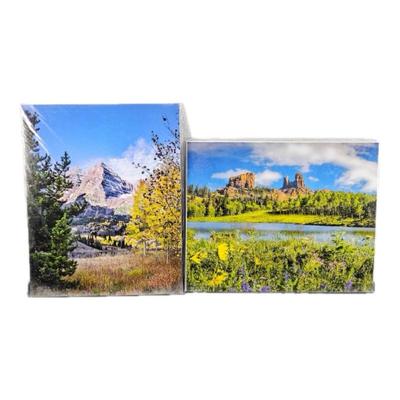 Lot #60 - Lot of Two 16 x 20 Enlarged Wildlife Photos in Protective Sleeves