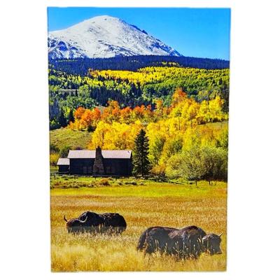 Lot #34 - Mountain Buffalo Vertical Landscape- Acrylic Face Mount- 17" x 20"