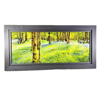 Lot #15- "Flowers Blue in a Wood: Scotland" Acrylic Mounted Photography w/ Custom Made Shou Sugi Ban Frame-69" x 33.5"