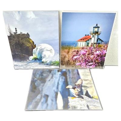 Lot #73 - Lot of Three 16 x 20 Enlarged Wildlife / Nature Photos in Protective Sleeves "Fury" WA State"