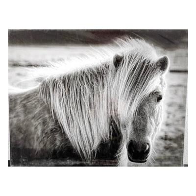 Lot #63 - "Blonde in a Prior Life" 16 x 20 Photo Taken in Iceland - by Randy Koepsell