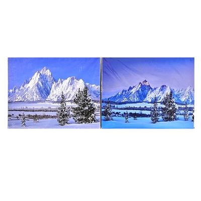 Lot #76 - Lot of Two 16 x 20 Enlarged Wildlife / Nature Photos in Protective Sleeves 