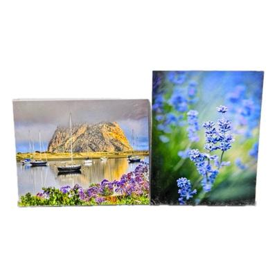 Lot #72 - Lot of Two 16 x 20 Enlarged Wildlife / Nature Photos in Protective Sleeves - "Morro Lake, CA" & Blue Flowers